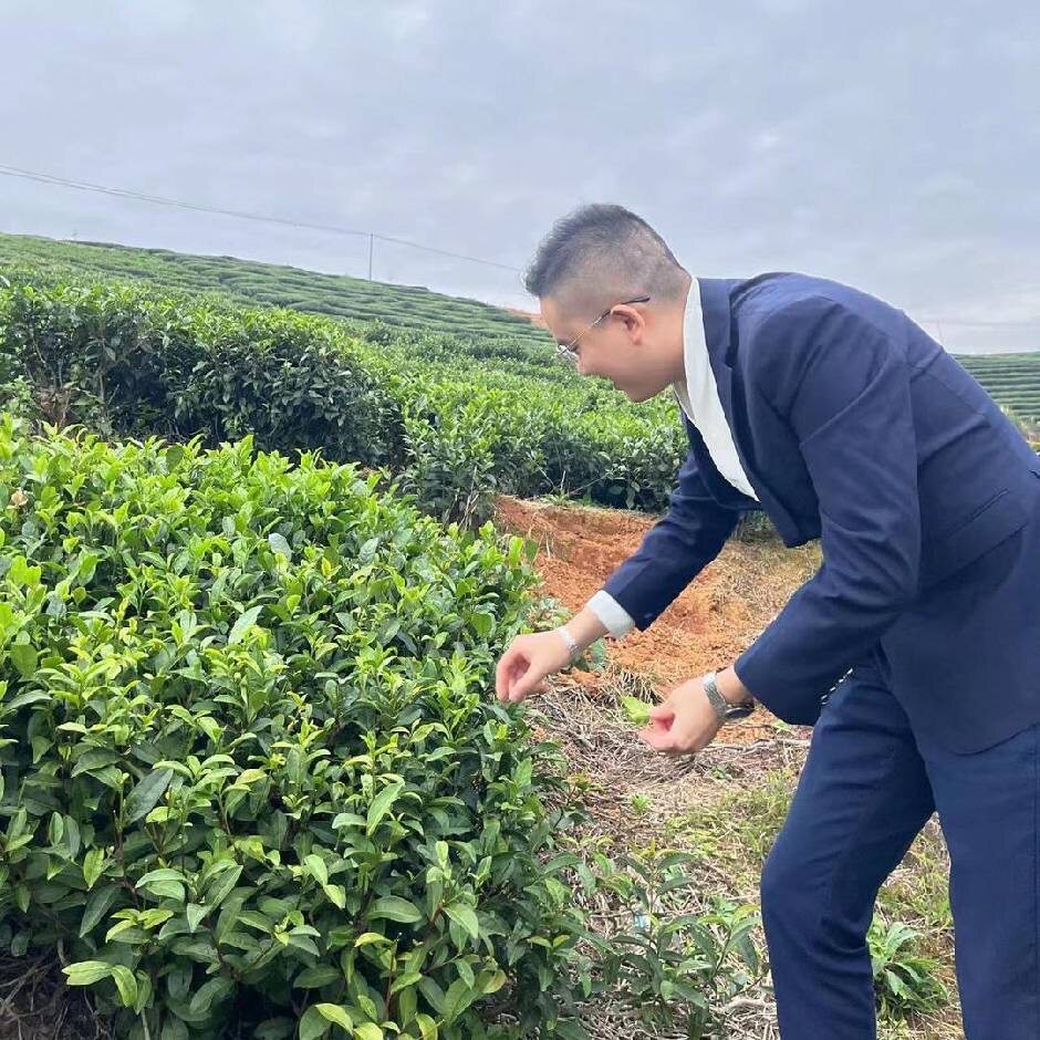 丰益达茶厂