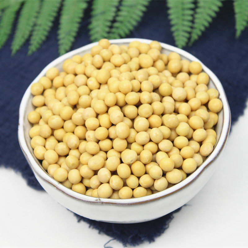 Soybean 5 kg new soybean soybean soybean soybean soybean soybean sprout grain oil