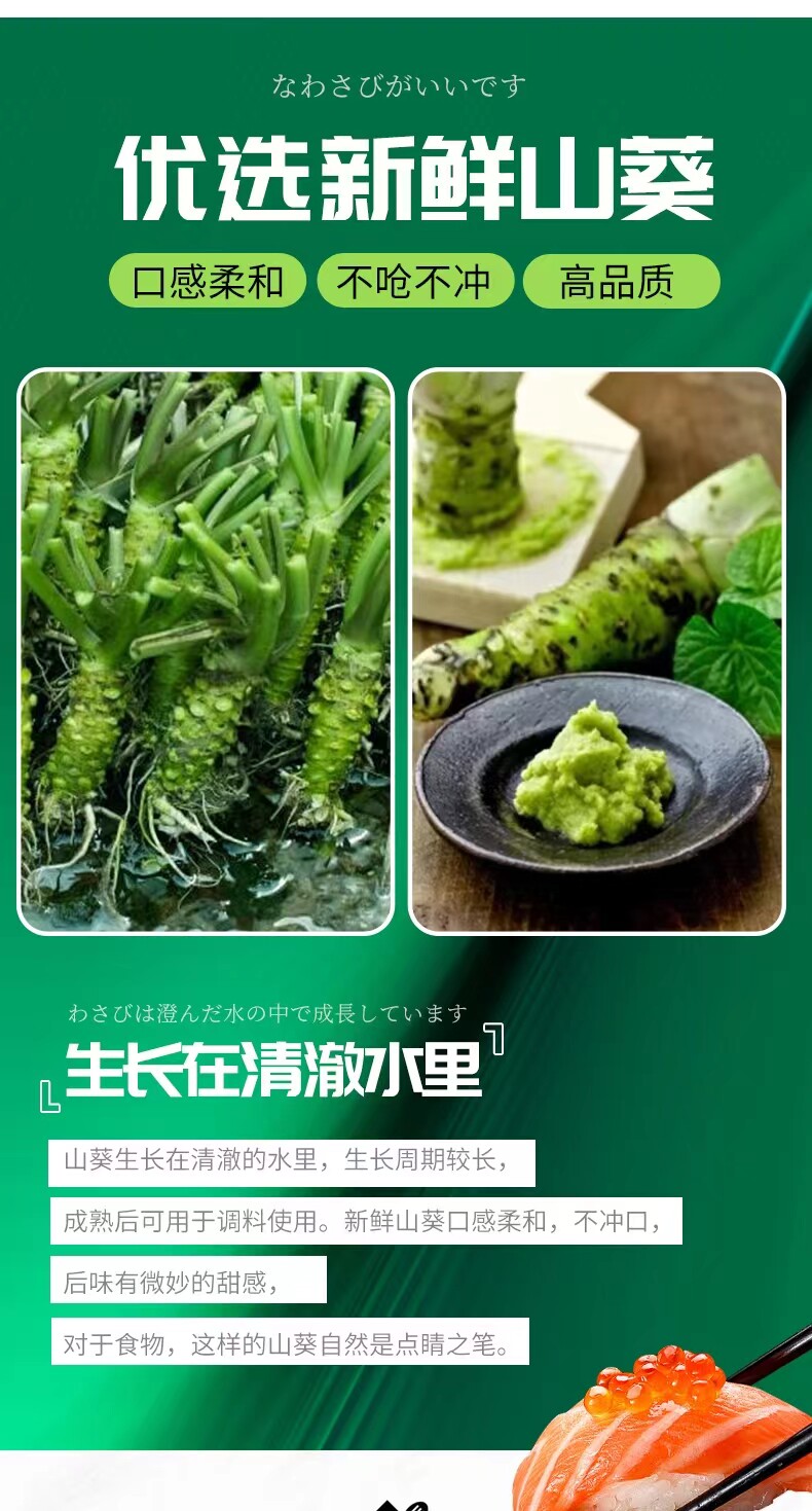 安享好物 安享A级芥末-伊豆山葵屋山葵芥末酱  