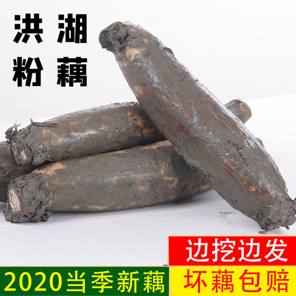 卷皮食品 洪湖新鲜粉藕 1000g 天猫优惠券折后￥14.99包邮（￥19.99-5）