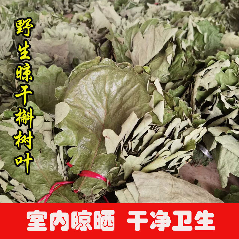 槲树叶新鲜晾干!伏牛山原生态桲椤饼叶、槲包粽专用叶,手工党狂喜!-粽叶-淘宝好物网