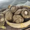 Товары от 臻颐食旗舰店