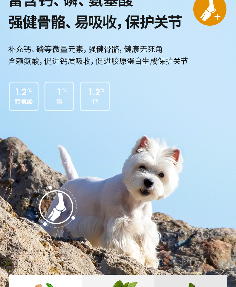 1031-мм-introins _10.jpg