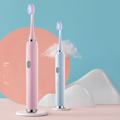 希尔顿电动牙刷1机 3刷头