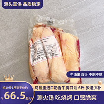 (Beef Breast Oil) Frozen milk-flavored whole breast imported from Uruguay barbecue and skewers ingredients for hot pot commercial use