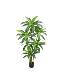 High-End Artificial Green Plants, Brazilian Wood Indoor Decorative Potted Plants, Window Display Landscaping, Fake Green Plants, Photography Props, Floor-Standing Potted Plants