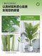 Light Luxury Artificial Areca Palm Green Plant Indoor Decoration Potted Plant Window Display High-End Fake Plant Floor-Standing Ornament