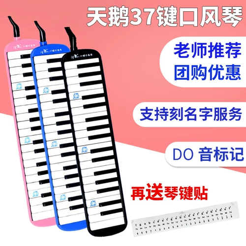 天鹅 Профессиональный орган для начинающих для школьников для взрослых, 37 клавиш, обучение