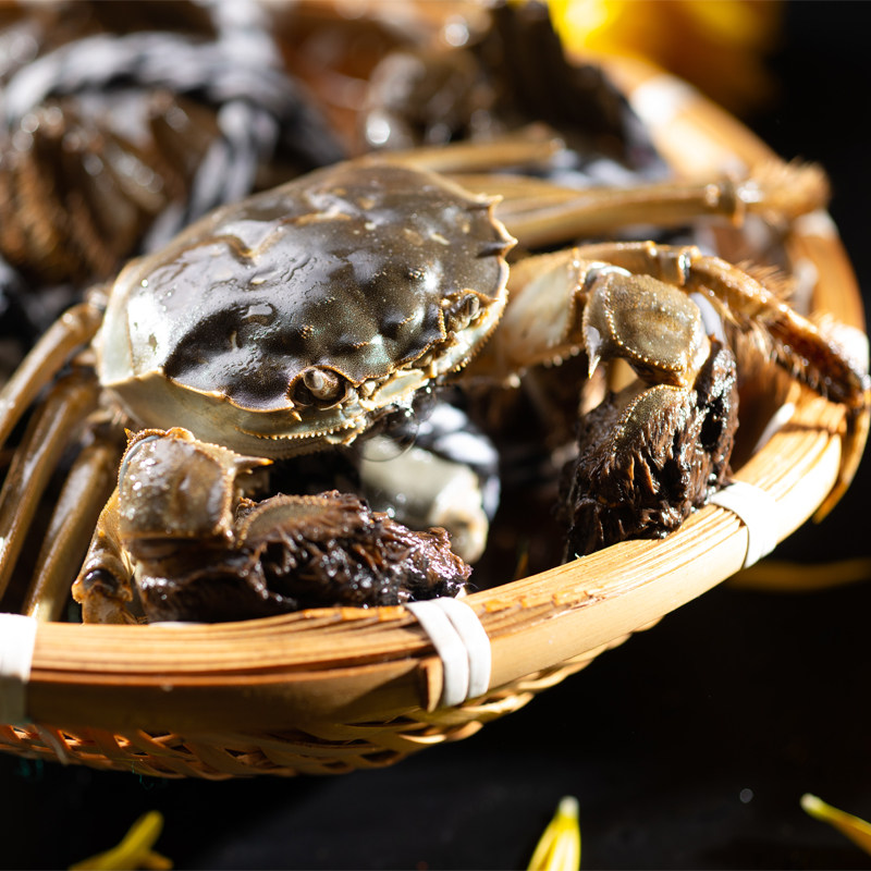 蟹人村 阳澄湖大闸蟹 2~2.5两*10只现货礼盒装 天猫优惠券折后￥88包邮（￥188-100）