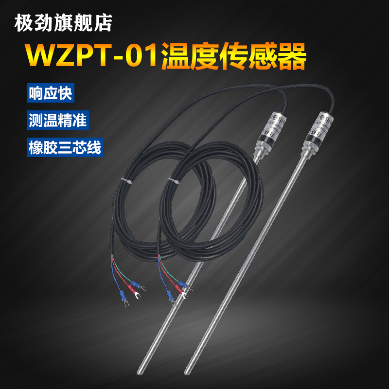 pt100 temperature sensor monitor type thermal resistance waterproof rust-proof thermocouple thermal resistance WZPT-01