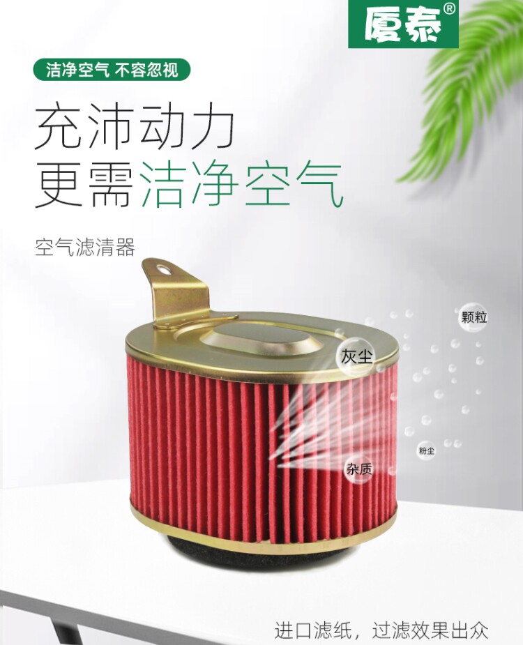 Ms. Wuyang Pedal Motorcycle Happy to Cool Shadow Jia Ying Xi Jun Xi Li Air Lattice Filter Element Air Filter Accessories