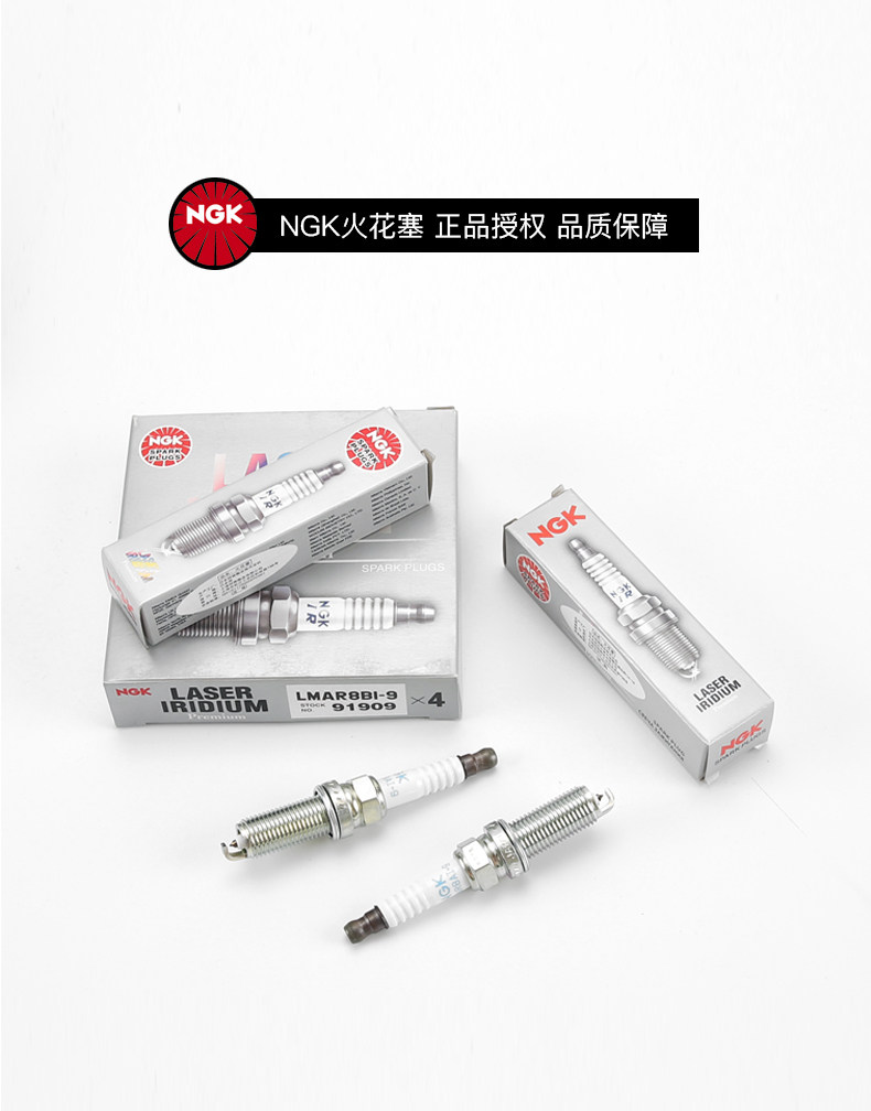 Suitable for Bmw K1600Gt Gtl1600 C600 Gt650 Ngk Iridium Spark Plug Lmar8Ai-8