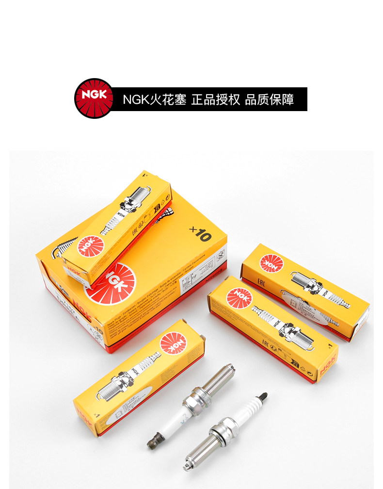 Water Bird R1200Gs K1600Gt C600 C650Gt F750 F850 Ngk Spark Plug