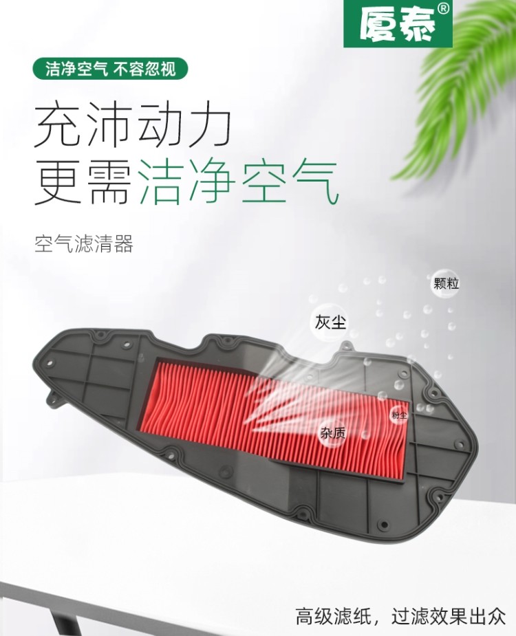 Zongshen Seckelong Pedal Motorcycle RT3 Ruitu ZS250T-3 Air Lattice Filter Filter Filter Air Filter