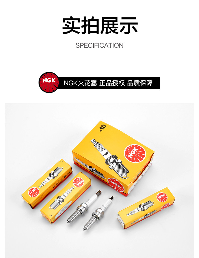 Water Bird R1200Gs K1600Gt C600 C650Gt F750 F850 Ngk Spark Plug