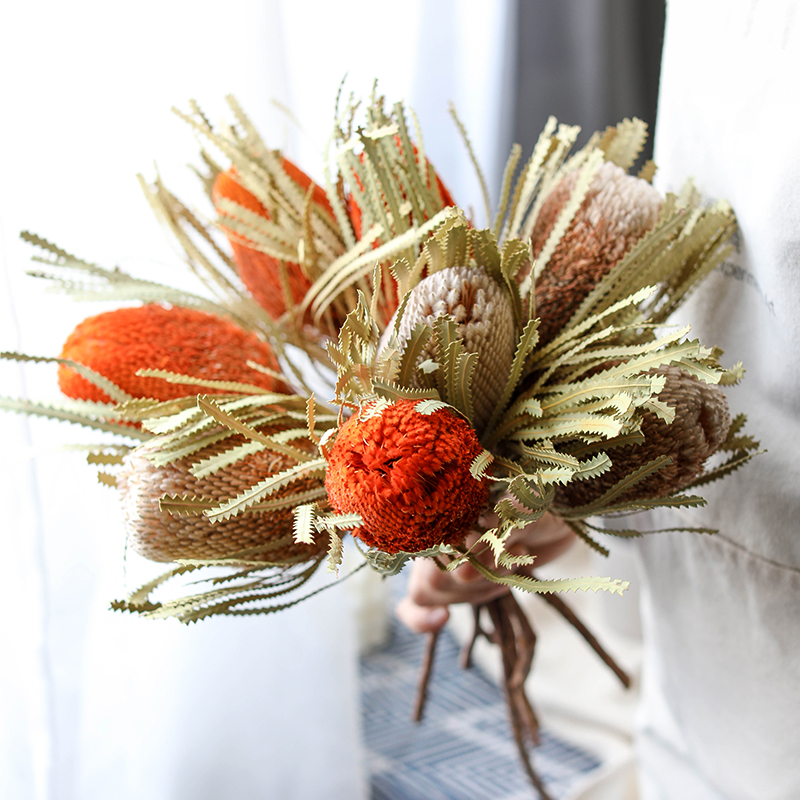 Australia imports Bankwood dry flowers high-end light luxury natural plants Nordic wind hotels residential decoration banksia