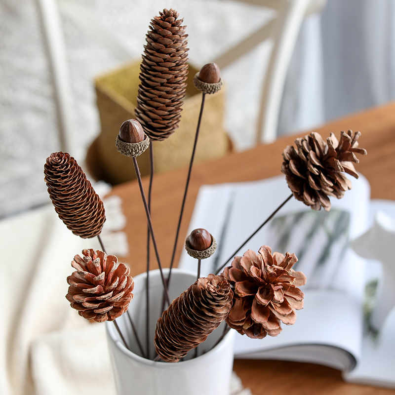 Pine Tasung Fruits Dried Flowers Dried Flowers Fruits Natural Wild Plants Folk Juku Decoration Tabletop Pendulum Pieces Oak Ornaments