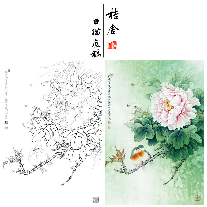 (Steps) Li Xiaoming brush painting white-depictive fingerprint Peony Shenxia bird original size 56*81cm flower bird line with A3 step diagram and color description copy of the painting KD20