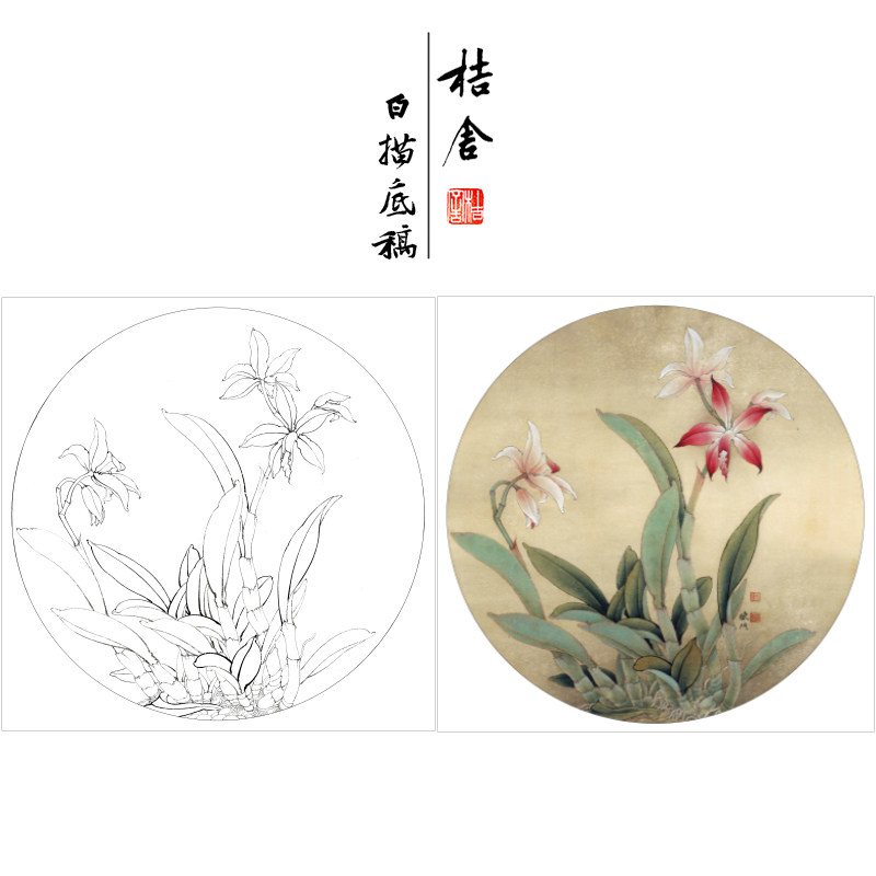 (with steps) Li Xiaoming's fine brushwork painting white line drawing manuscript Cattelan round sketch original size 42*42cm flower and bird line draft with A3 step diagram and color instructions copying draft KB02