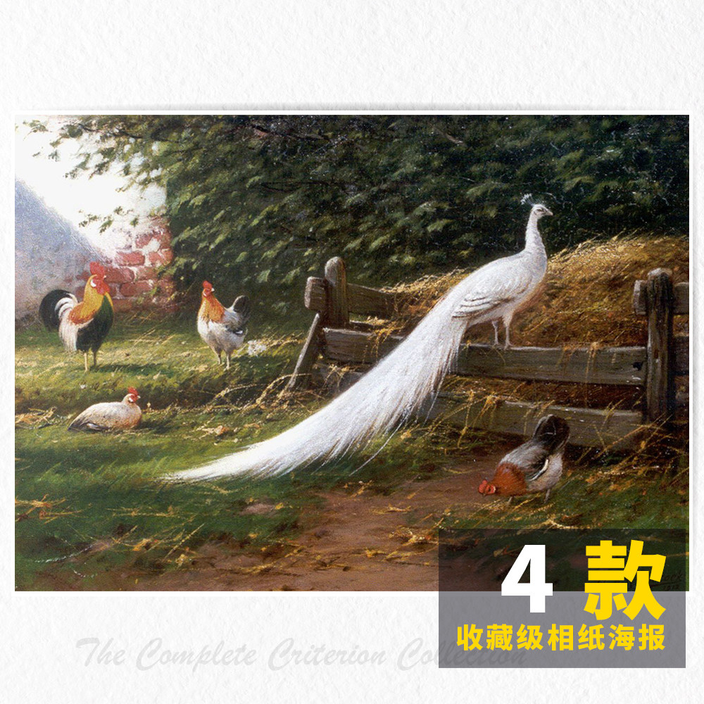 AdrianusHaan oil painting re-engraved niche literature and art photo paper poster picture card full 8 sheets free shipping