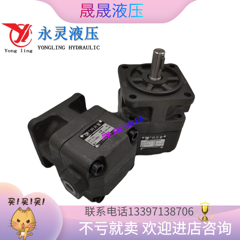 Zhejiang Xianju Yongling blade pump YB1-2 5 YB1-4 YB1-6 YB1-10 YB1-31 5 YB1-50