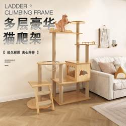 Cat Climbing Frame with Integrated Sleeping Area, Cat Tree with Non-Solid Wood Pillars, Scratching Post, Space Capsule Swing for Cats to Play