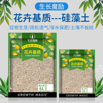 Growth Mo Li diatomaceous earth flower soil particles Succulents paving soil Meat potting formula nutritional soil paving stone