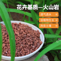 Growth Mo Li volcanic rock gardening household particles Orchid paving stone fleshy potted plants special soil mixing nutrient soil