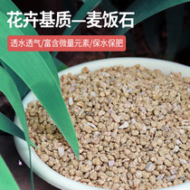 Growth Mo Li gold Soft wheat rice stone Nutritional soil Succulents Potted paving stone Granular soil mixing medium