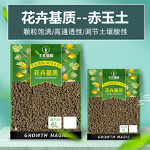 Growth Mo Li red jade soil granular soil Household potted paving stone succulents seedling cuttings mixed soil nutritional soil