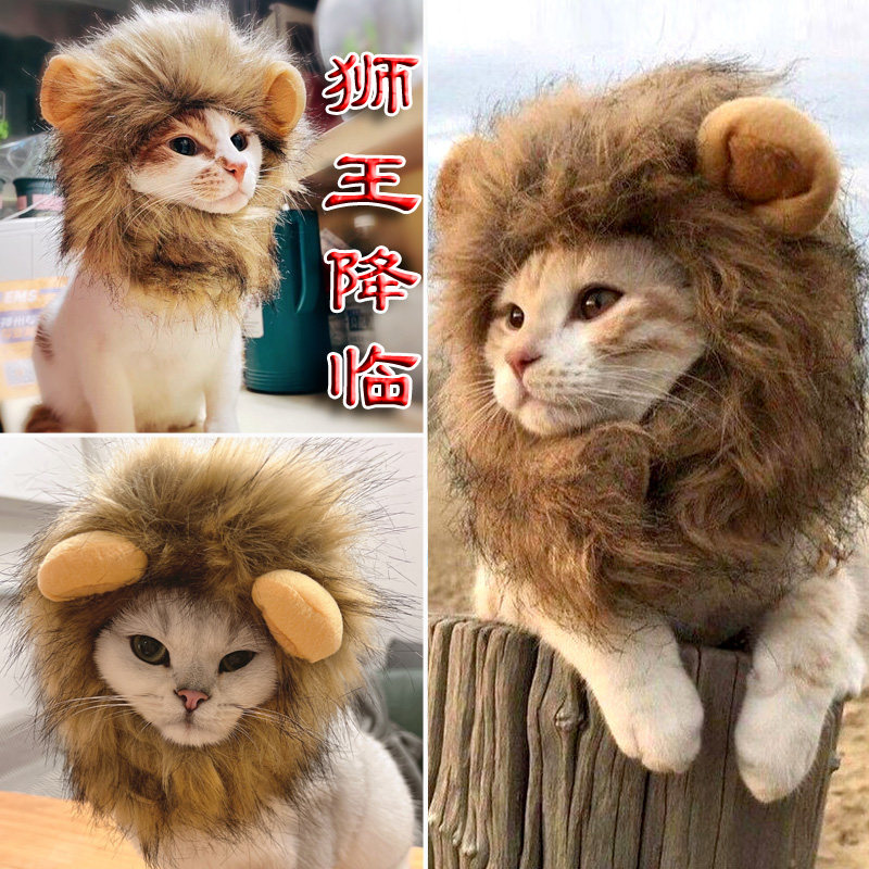 Cat Lion Headgear Cute New Year Pet Cat Hat Tiger Head Rabbit Ear Funny Headdress Shake Voice Net Red