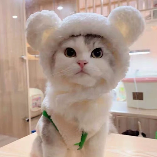 Шляпа для домашних животных милая новогодняя плюшевая кошачь