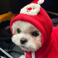 Красная толстовка, на шнурках