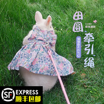 Radish Valley pet rabbit clothes leash rabbit Dutch pig lop-eared rabbit dwarf garden dress