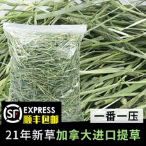 Radish Valley 21 years of Canadian Timothy (a pressure) imported grass section rabbit snow dry grass pasture