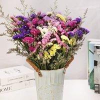 6 Забыто в+любовника Cao 2 фунта