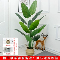 1,8 метра красивого путешественника банановой таз+корзина