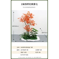 2 метра и четыре выстрела Red Maple View семь