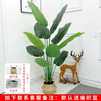 1,6 метра красивых путешественников банановые таз+корзина