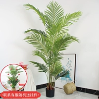 1,6 метра наложничного горшка Kwai Lianxia