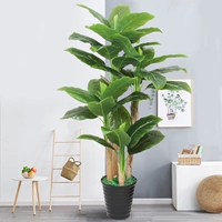 2,1 метра четырех -наложенного бассейно -бананового дерева+горшок+трава