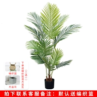 1,2 метра наложниц Kwai Lianxian+корзина