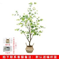 1,5 метра висящих часов соединяющих горшок+корзина