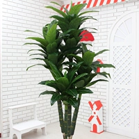 2 метра четыре деревья чемпиона (без горшков)