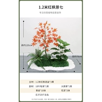 1,2 метра красного кленового просмотра семь