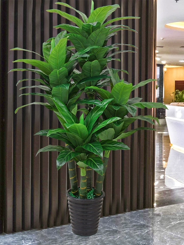 Моделирование зеленое растение горшечное размещение