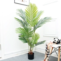 1,2 метра наложницы Kwai Po