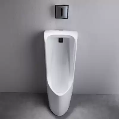 Japanese urinal UWN508HB VB571RB 557SB Urinal Wall-mounted floor-standing Zhijie Urinal