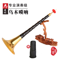 Chantone Cabinet Professional Playing Grade Uwood D Tune Suona Adult Full Set Instruments Lock Cry Boutique Sola Folk Horn