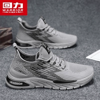 Серый [обычное издание]